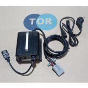 Зарядное устройство для штабелёров TS12 24V 10А (Charger 10A)